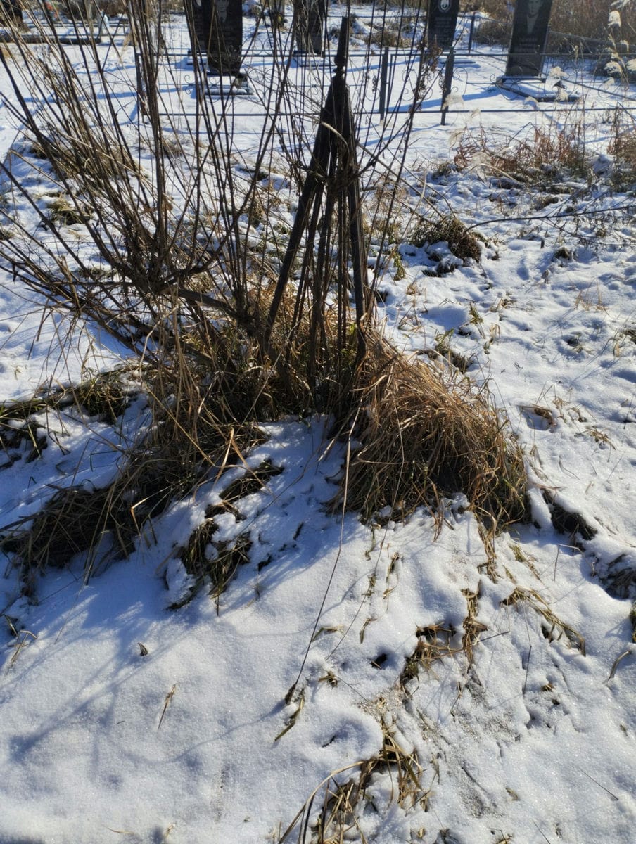 Неизвестно Неизвестно Неизвестно