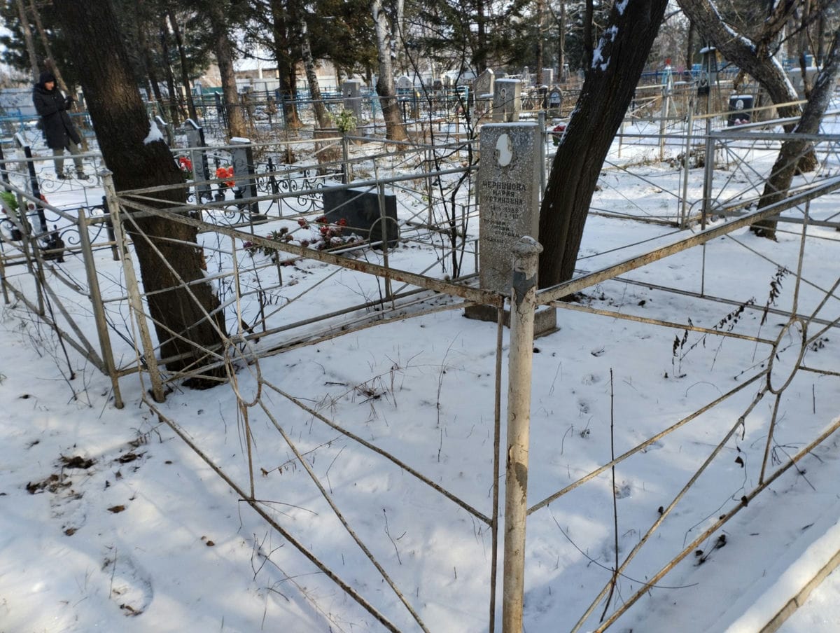 8b47c276-a826-4a6d-95cd-0a3d758b6e0b Чернышова Мария Устиновна