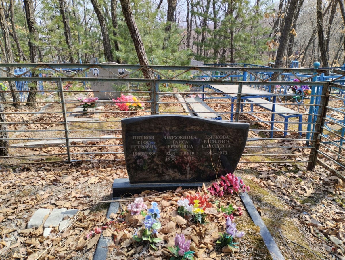 8bf056ed-4d72-44f5-a0a2-1fe78c8c6576 Пяткова Василиса Елисеевна