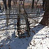 Неизвестно Неизвестно Неизвестно