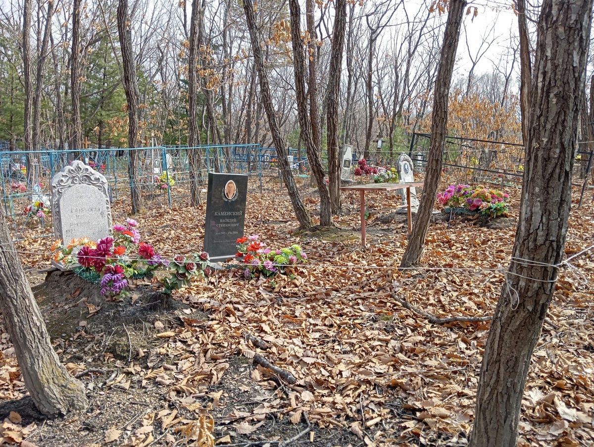 8dc3bf8d-6073-4fae-a7da-b62c7d8a9eea Канчинская Мария Николаевна