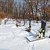 Тыкманова Татьяна Петровна