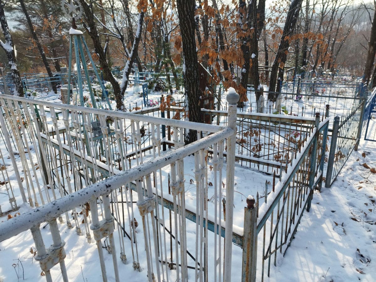 92311507-0d7b-436b-8fc1-5ad8f4437cd3 Богач Надежда Платоновна