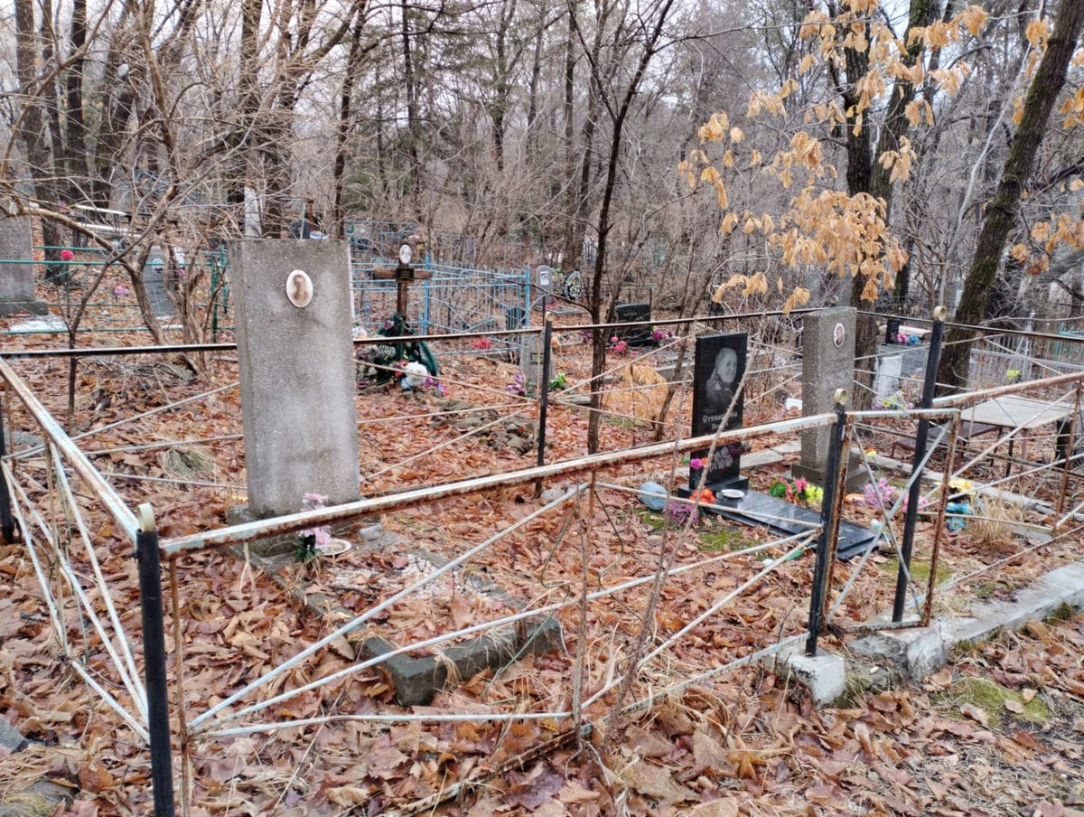 92a2cbfe-4e04-47b4-aaf3-d9719a6952ce Степашкина Пелагея Климентьевна