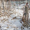Пуха Татьяна Миноновна