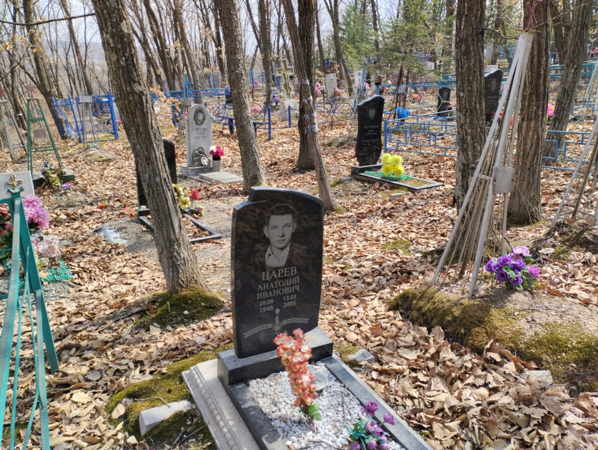 96fe365a-6cca-4271-8f73-2e1ec95598a8 Царев Анатолий Иванович