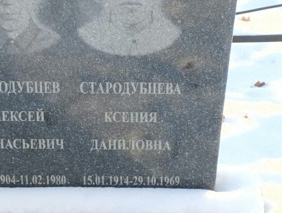 97833262-c1b7-402c-bd17-218f261297f8 Стародубцева Ксения Даниловна