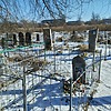 Левина Галина Григорьевна