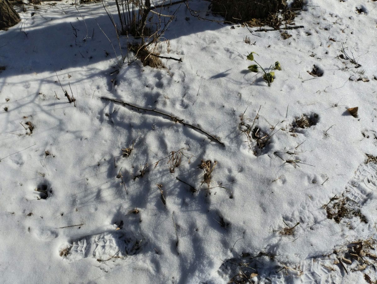 9e34c7b4-38c6-426d-8f32-e1ca4f2394bd Неизвестно Неизвестно Неизвестно