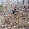 Неизвестно Неизвестно Неизвестно