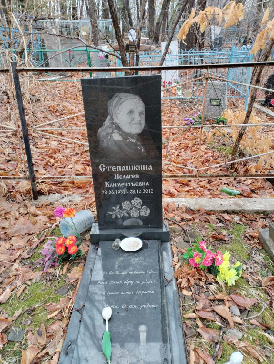 a31ebf58-3a4f-42ff-8159-581226e3d053 Степашкина Пелагея Климентьевна