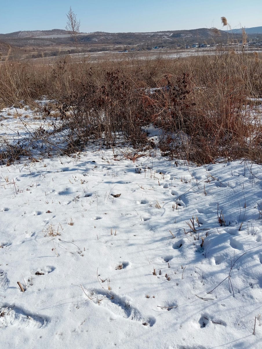 a6df3ccb-4988-4328-bcf8-e0d1d40f986e Неизвестно Неизвестно Неизвестно