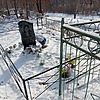 Лащенко Евгения Сергеевна
