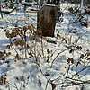 Неизвестно Неизвестно Неизвестно