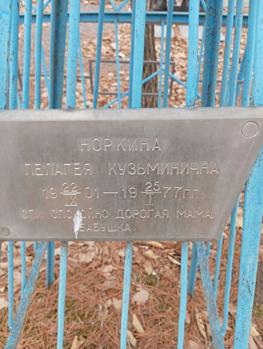 af159b85-d289-49e3-affa-04cea83f4750 Норкина Пелагея Кузьминична
