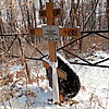 Чекалдина Галина Александровна
