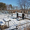 Самсонова Дарья Федоровна