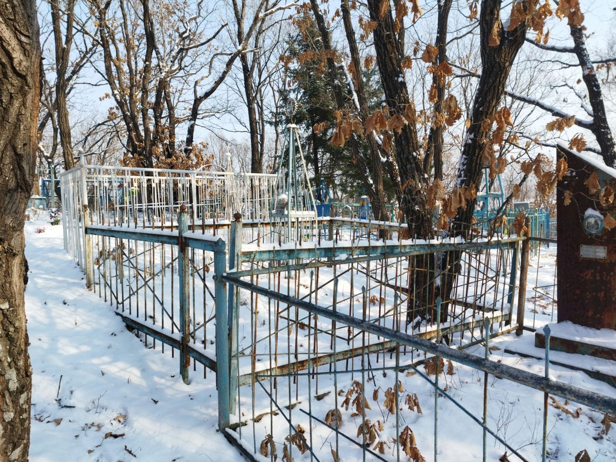 c11f2424-3eb1-489d-b634-20fa1f4322b5 Богач Надежда Платоновна