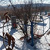 Давлетов Осман Неизвестно