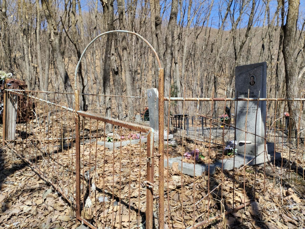 c2996c35-5e1f-4f35-8ad5-c45f83735e69 Андрианова Александра Андреевна