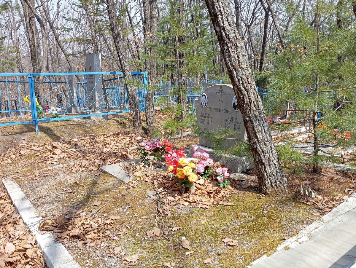 Первушкина Елена Матвеевна