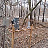 Быкова Василиса Григорьевна
