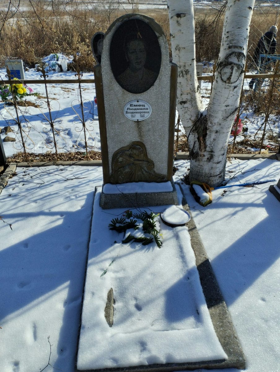 c56c7762-b1b5-463a-81aa-2d53a284d8bb Емец Людмила Владимировна