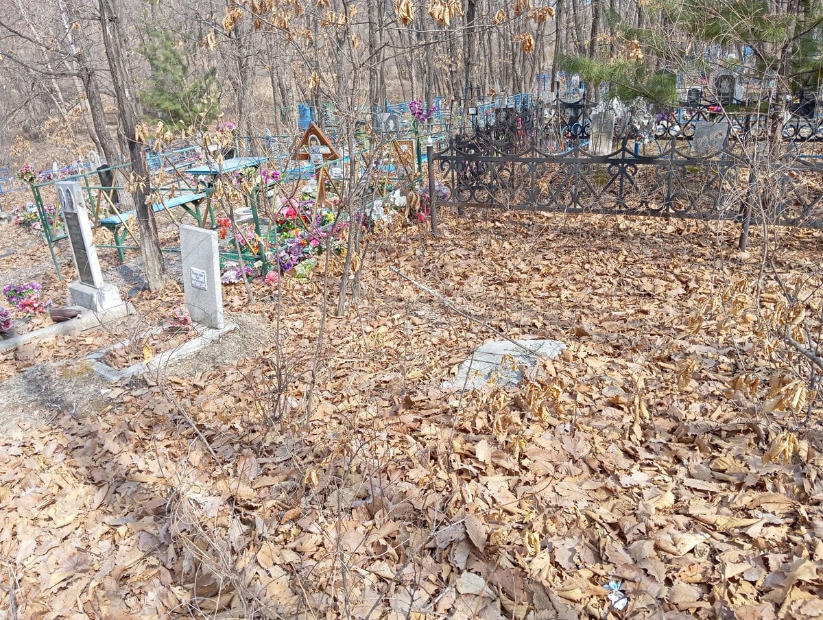 c5a17241-7ca5-406d-99c9-da3bf17c8090 Неизвестно Неизвестно Неизвестно