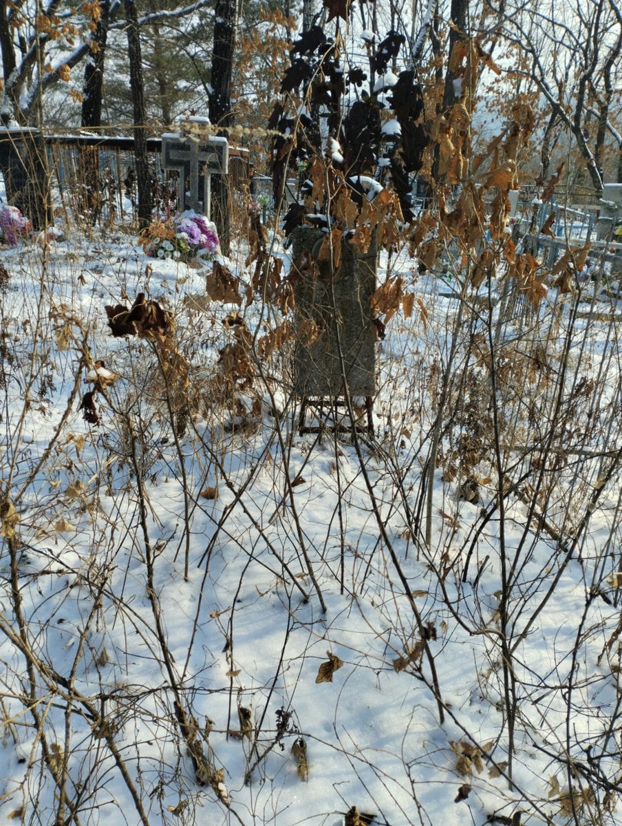 c94a9a8f-cf2c-4779-b7b3-697244d0e4fb Алексеенко Алексей Петрович