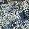 c984eb03-7c0d-45c5-aeef-0a71c6f3deb8 Неизвестно Неизвестно Неизвестно