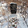 Авдеев Александр Викторович
