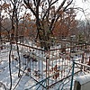Шульгина Татьяна Винидиктовна