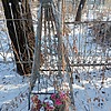 Неизвестно Неизвестно Неизвестно