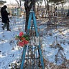 Монанко Домна Захаровна