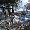 Разумная Ульяна Степановна