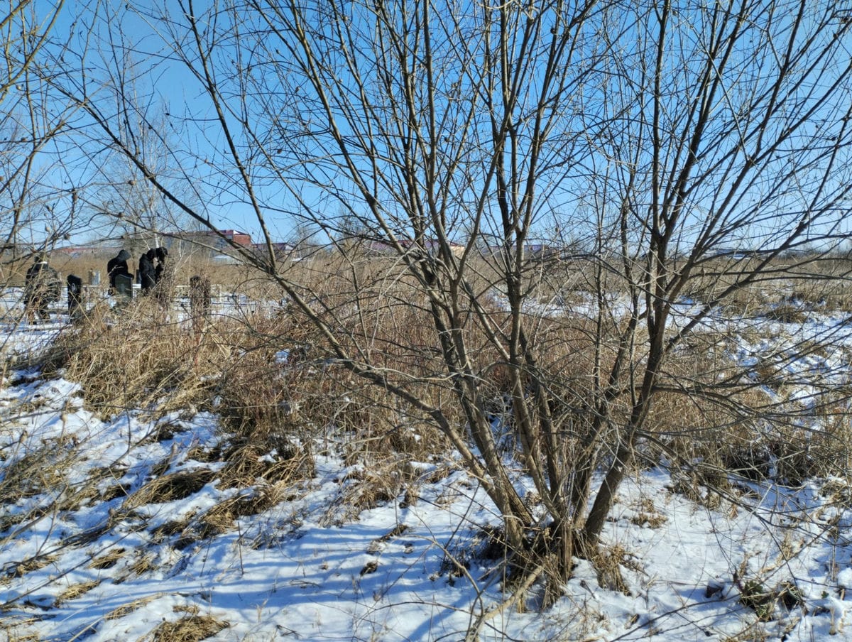 Неизвестно Неизвестно Неизвестно