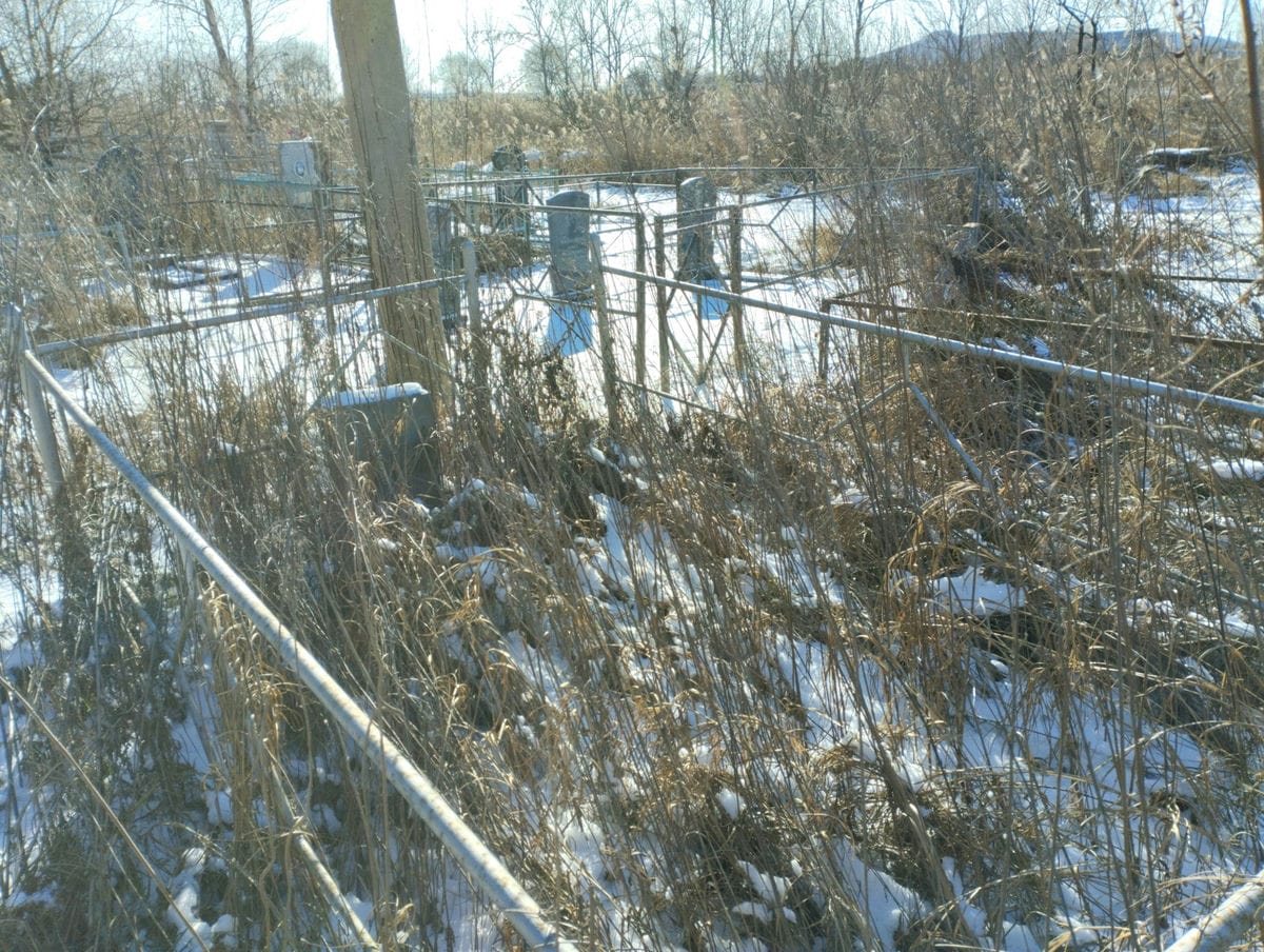ce7db247-1462-400c-aed3-b42146f370f4 Чернышова Валентина Егоровна