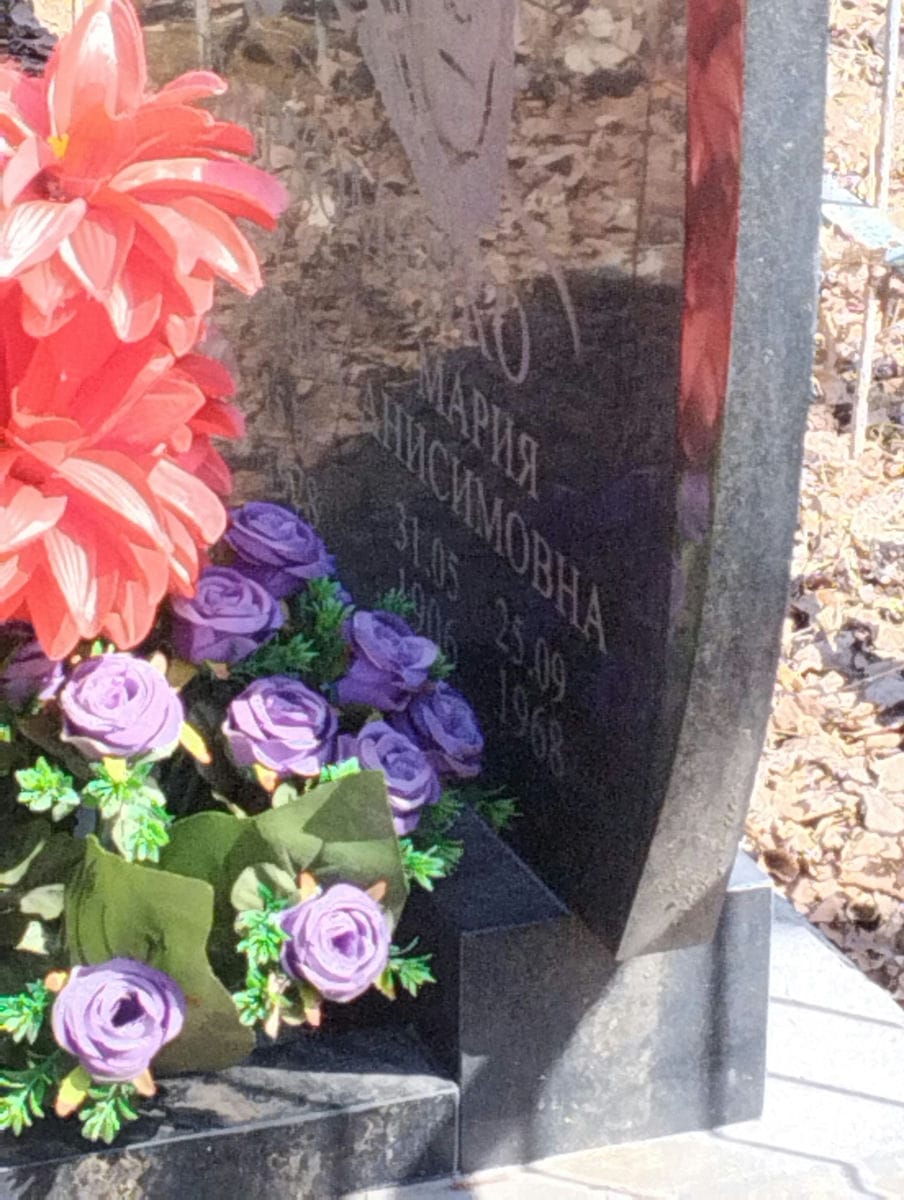 ce9ad27d-f6a4-4617-8cdc-2ae686653227 Пархоменко Мария Анисимовна