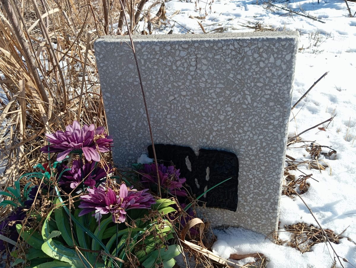 d03053b8-2fa9-4474-8f05-80b3aa37a233 Неизвестно Неизвестно Неизвестно