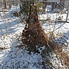 Неизвестно Неизвестно Неизвестно