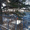 Ямковая Мария Степановна