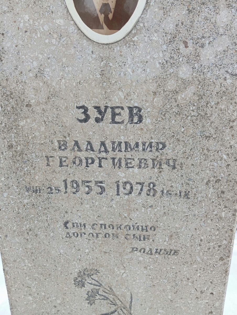 d1ed04e6-1594-4ec4-acfa-7922e604cada Зуев Владимир Георгиевич