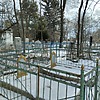 Лашинская Анна Неизвестно