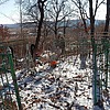 Дворникова Валентина Андреевна
