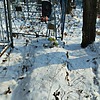 Носова Елена Неизвестно
