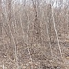 Неизвестно Неизвестно Неизвестно