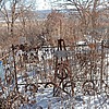 Араныш Иван Никифорович