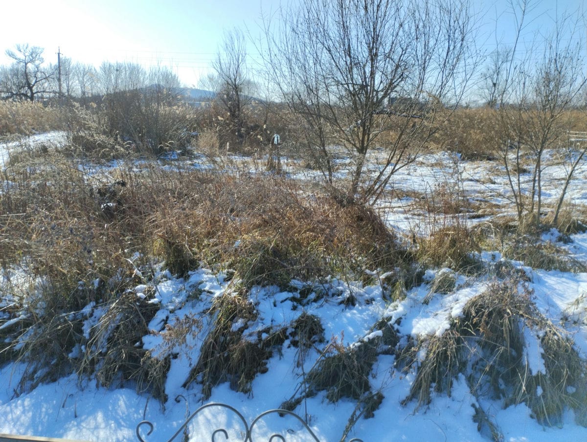 Неизвестно Неизвестно Неизвестно