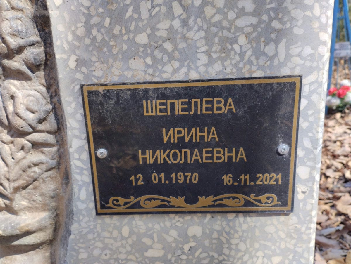 d8d66d4e-27cc-4338-a039-d41b8f14baa4 Шепелева Ирина Николаевна