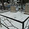 Вдовина Марина Неизвестно